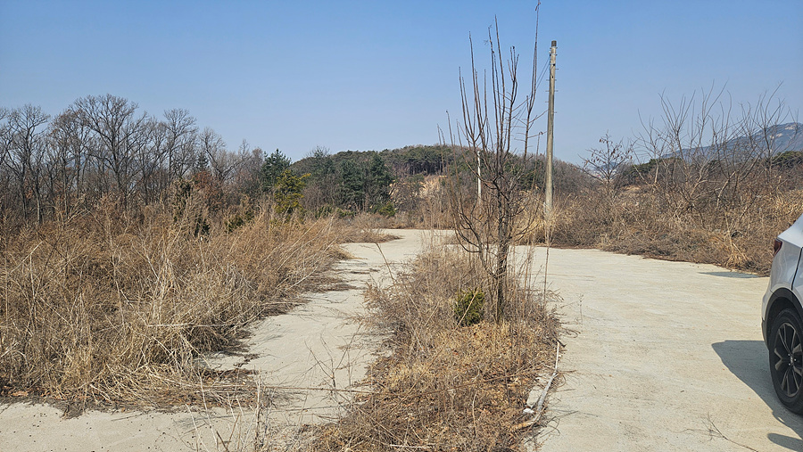 20250314_114115.jpg