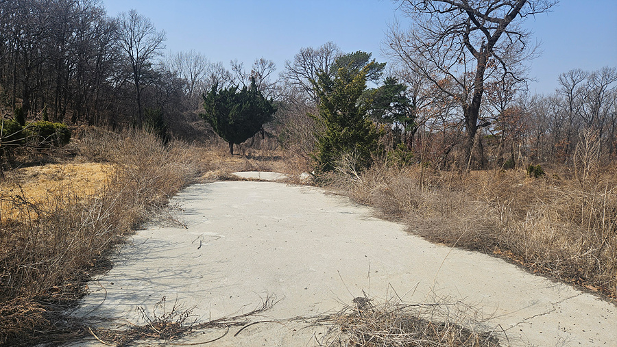 20250314_114118.jpg