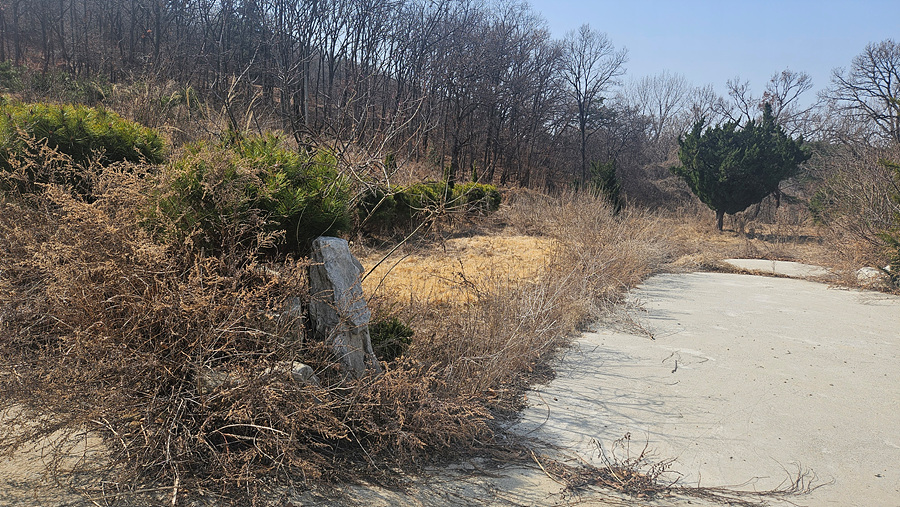 20250314_114119.jpg