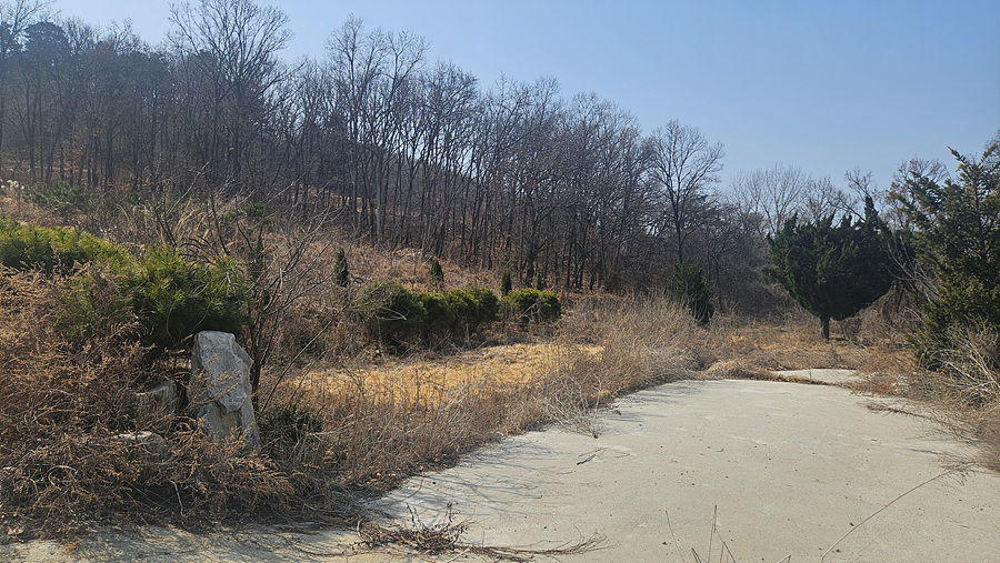 20250314_114130.jpg