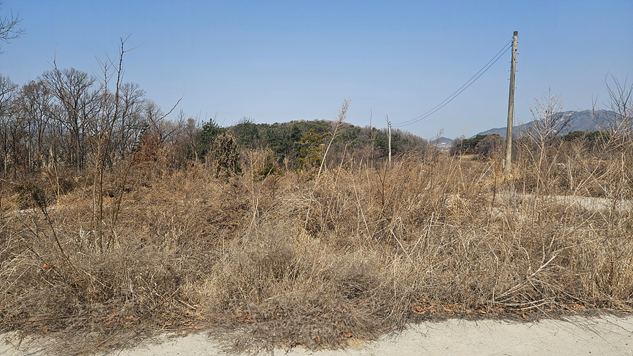 20250314_114152.jpg