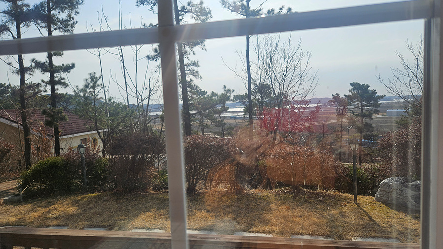 20250315_102446.jpg