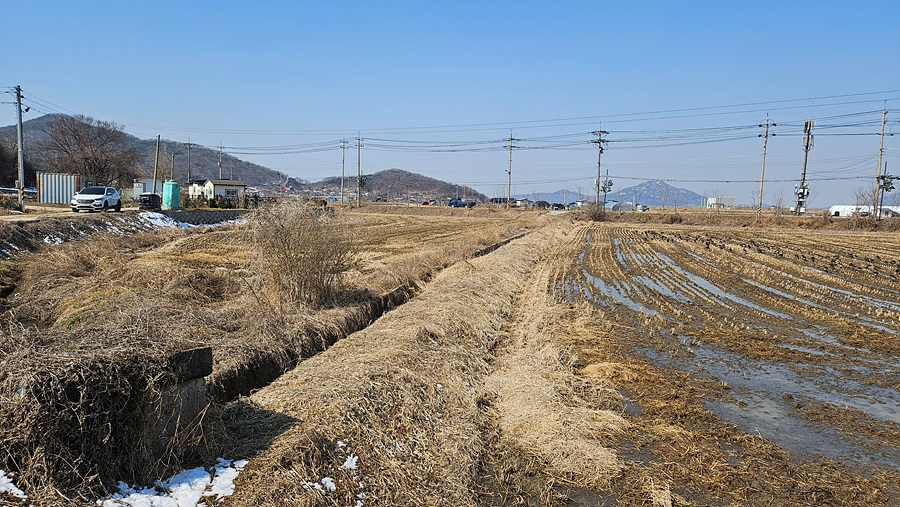 20250319_105650.jpg