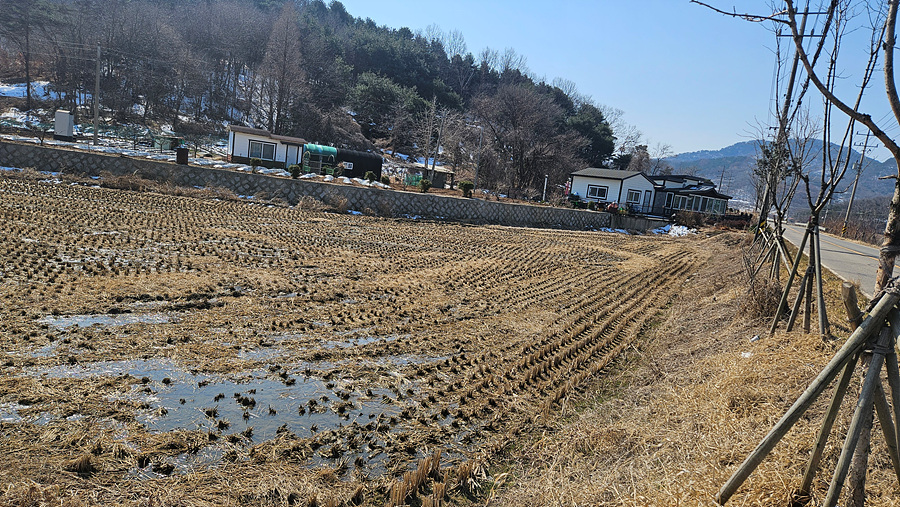 20250319_105928.jpg