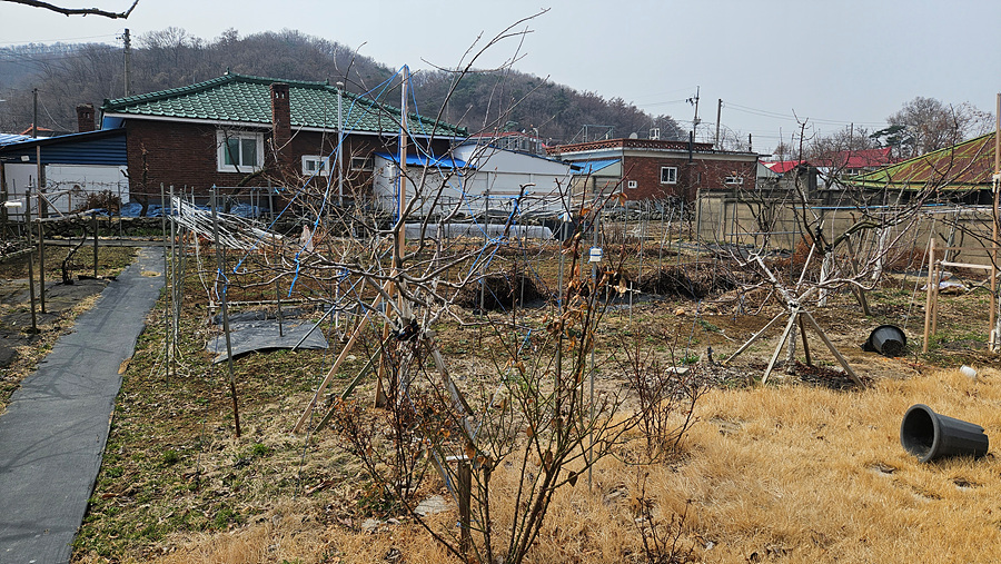 20250327_114935.jpg