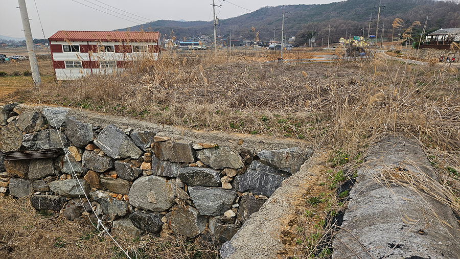 20250409_104449.jpg