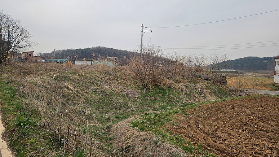 20250409_104951.jpg