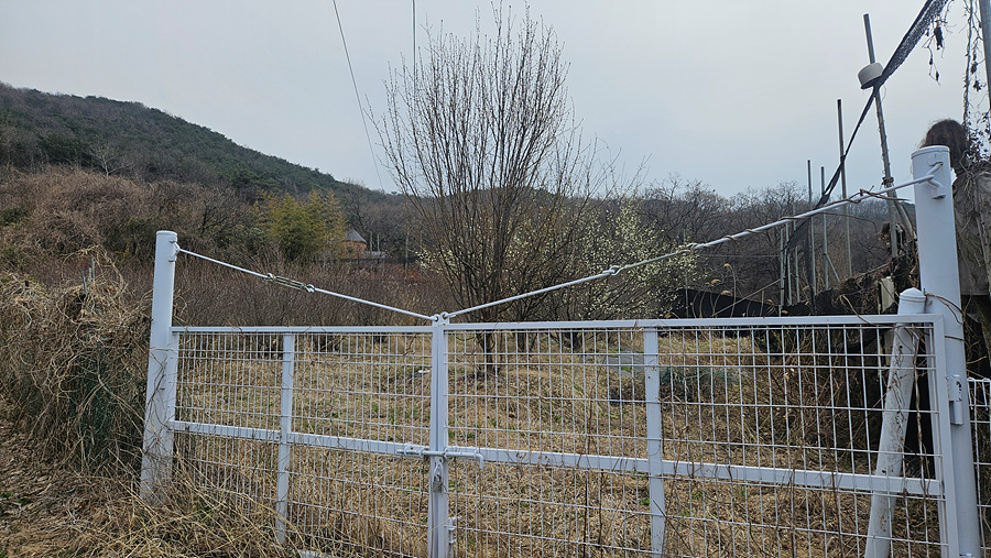 20250409_095441.jpg