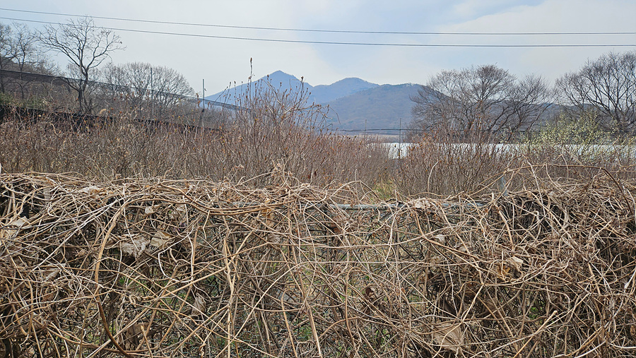 20250409_095513.jpg