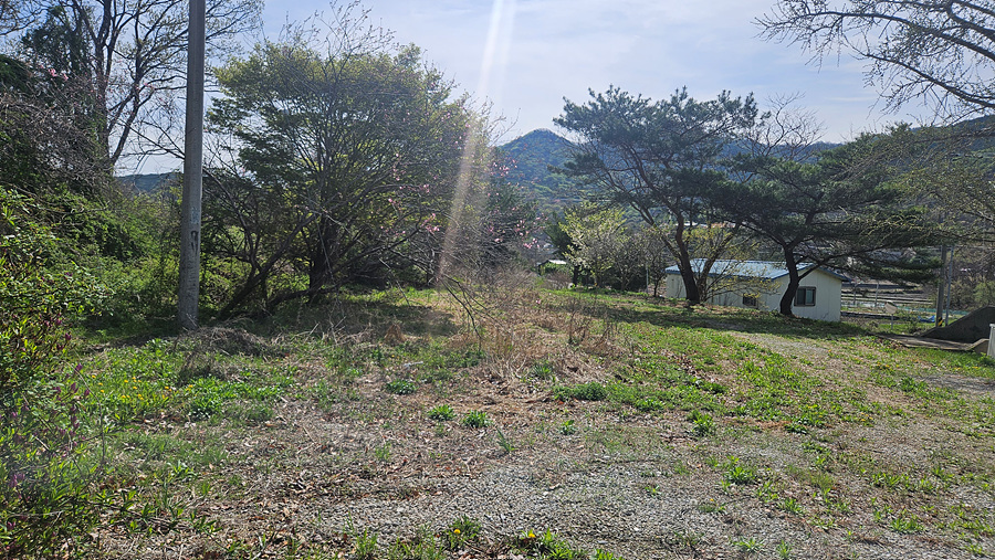 20250423_095542.jpg