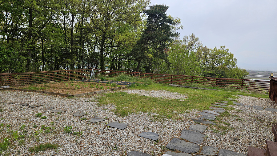 20250505_101953.jpg
