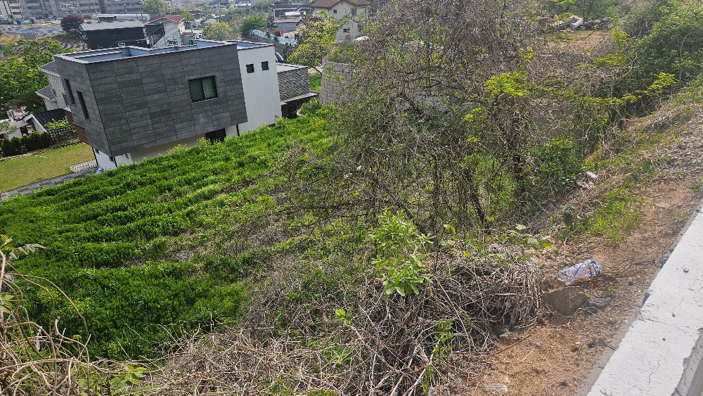 20250508_155256.jpg