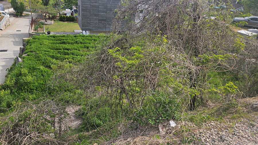 20250508_155250.jpg