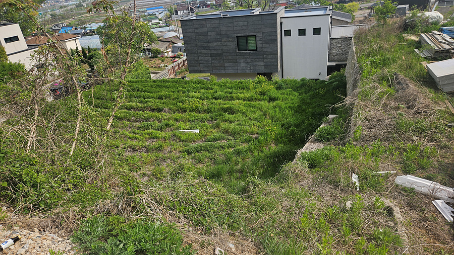 20250508_155341.jpg