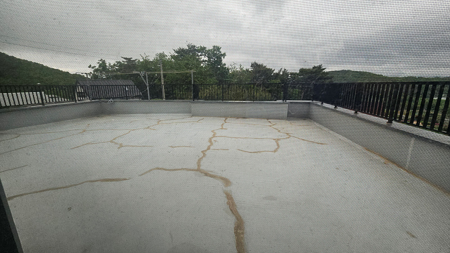 20250516_150322.jpg