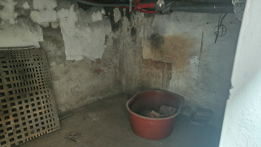 20250519_130150.jpg