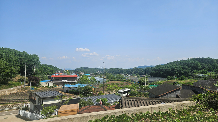 20250522_145352.jpg