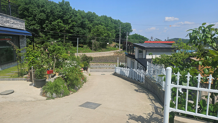 20250522_145236.jpg