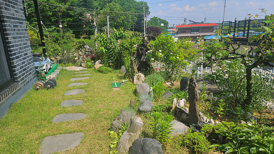 20250522_150341.jpg