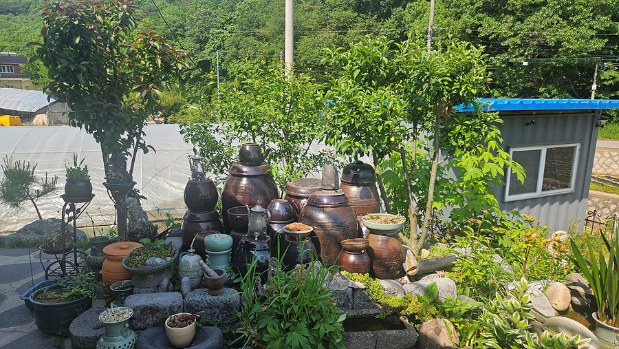 20250522_150421.jpg