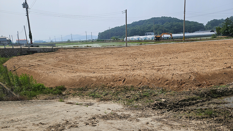 20250528_143115.jpg