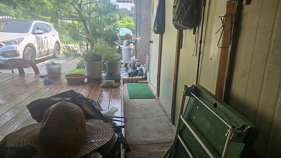 20250529_153151.jpg
