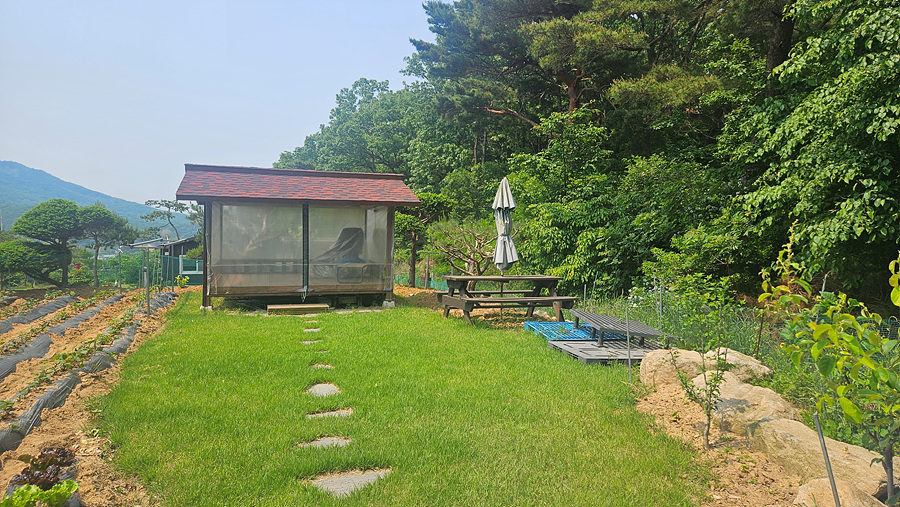 20250530_105247.jpg