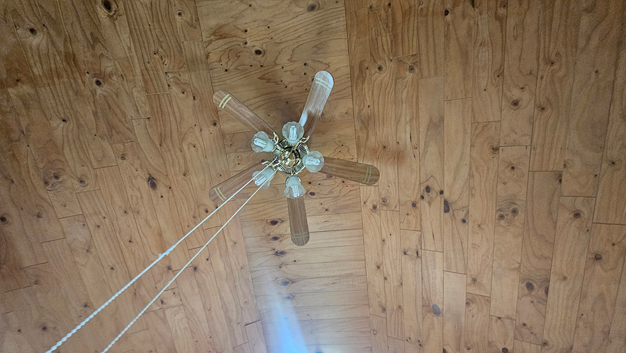 20250603_144617.jpg