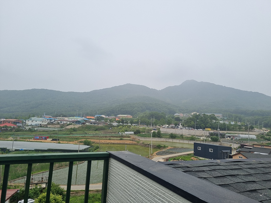 20220604_112953.jpg