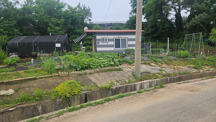 20250613_142817.jpg