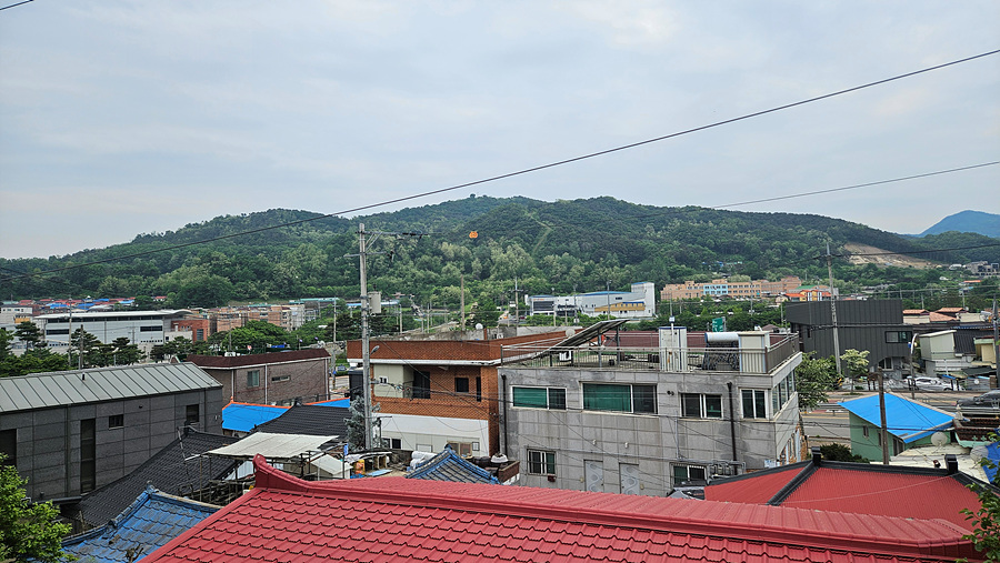 20250523_141015.jpg