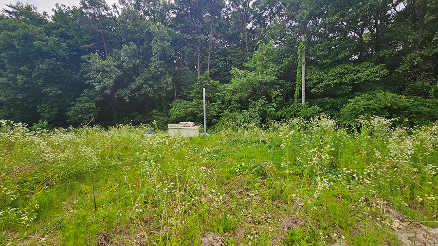 20250624_154710.jpg