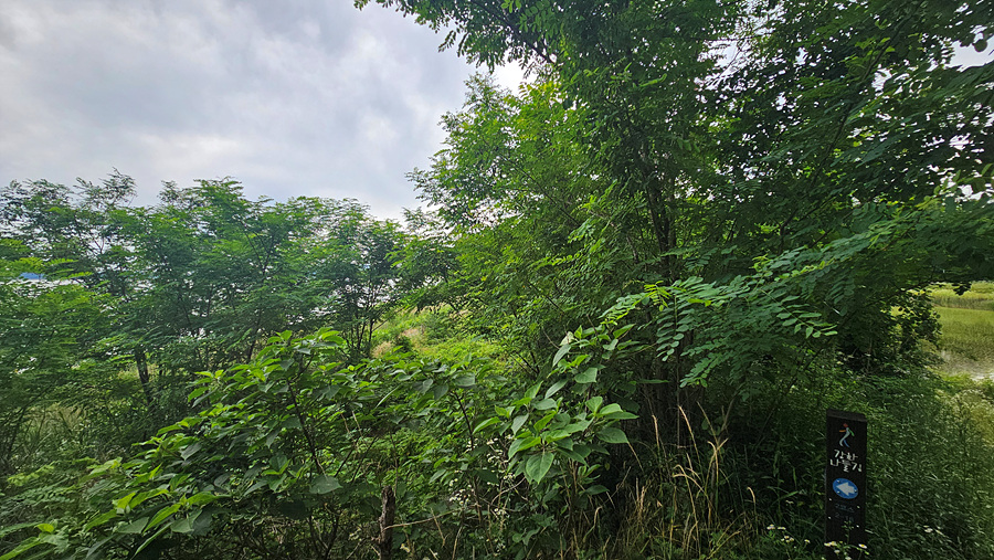 20250624_155010.jpg