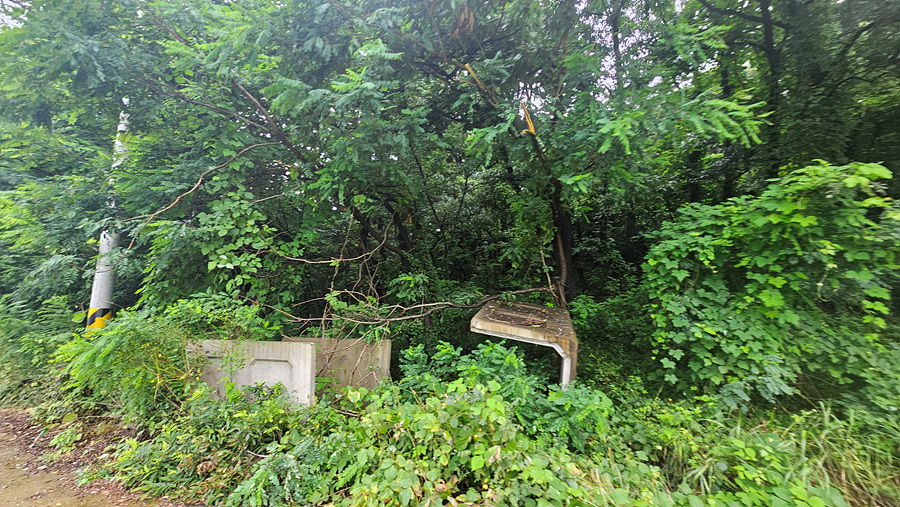 20250719_134954.jpg