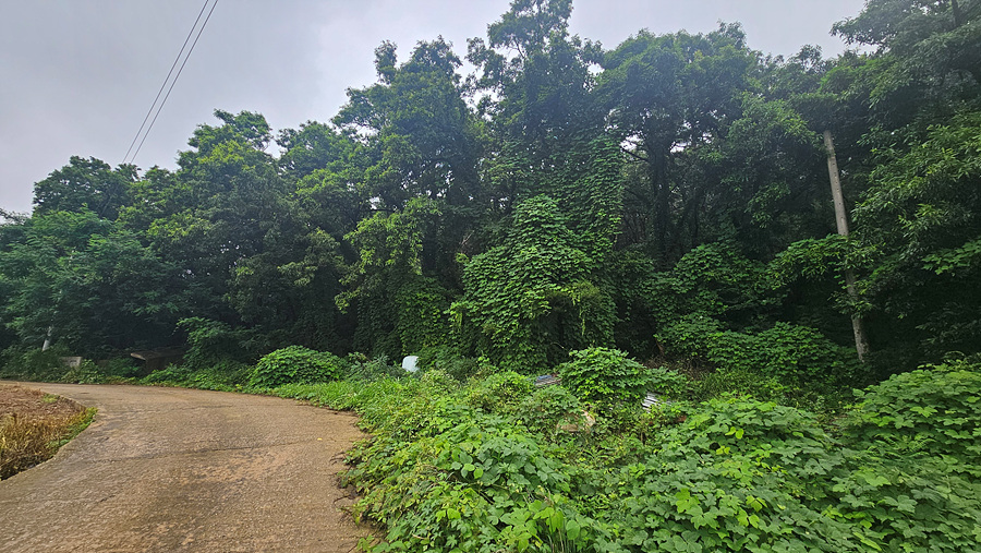 20250719_134928.jpg