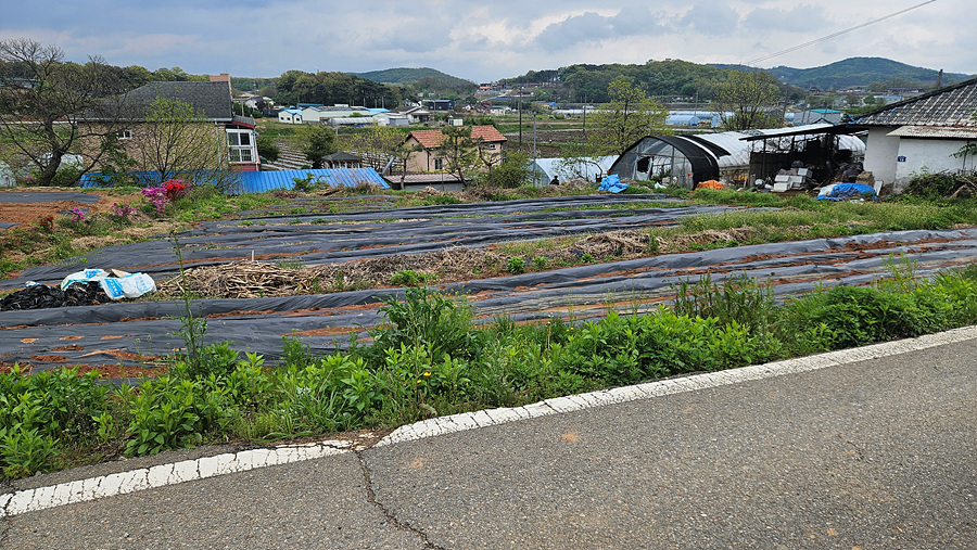 20250503_142113.jpg