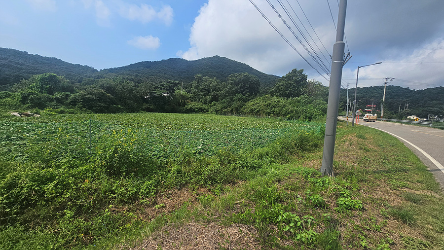 20250823_105643.jpg