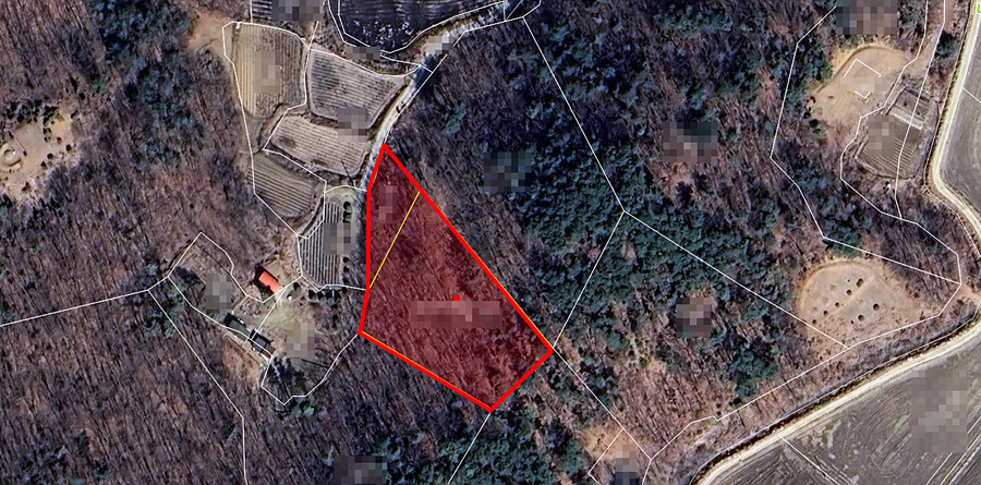 ȭ�� ĸó 2026-01-23 173212.jpg