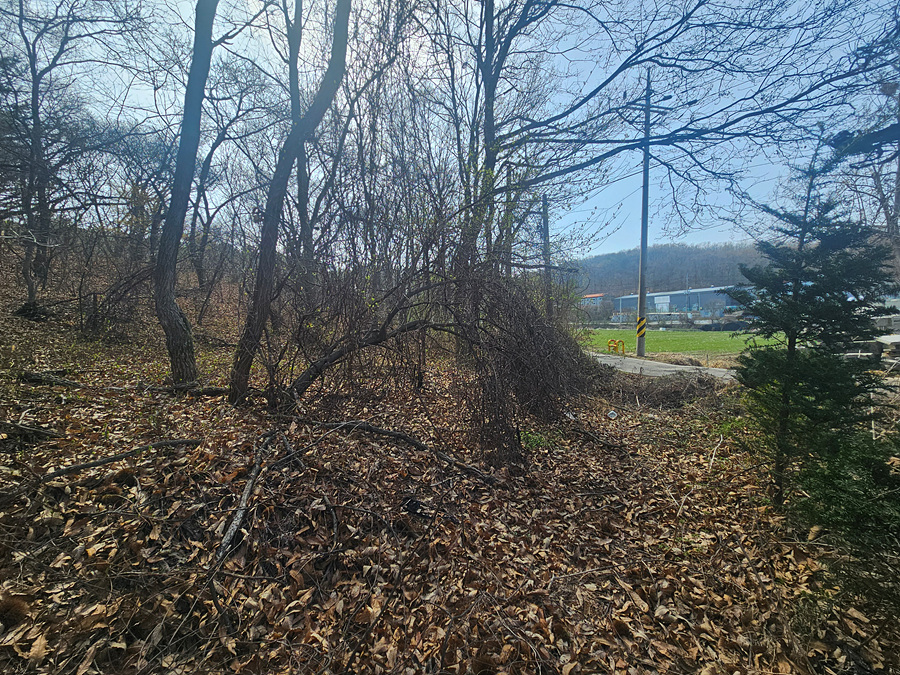20260411_143353.jpg
