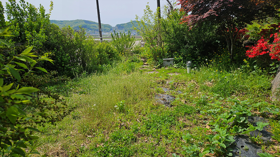 20230501_105345.jpg