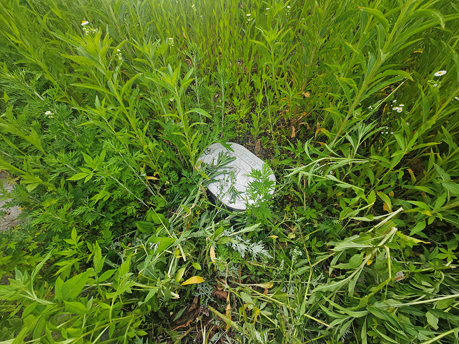 20260604_154857.jpg