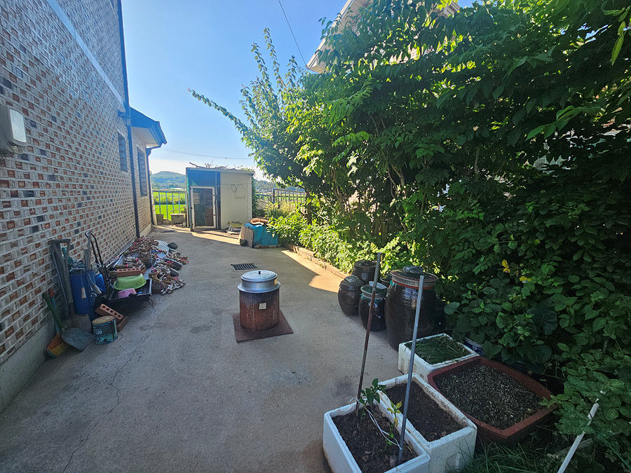 20260624_170438.jpg