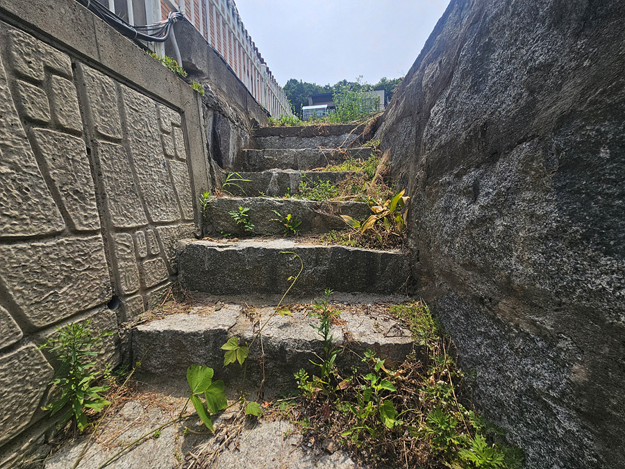20260704_134756.jpg
