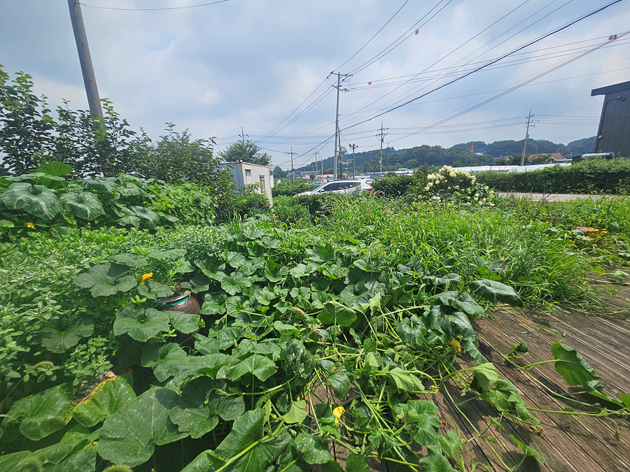 20260801_112351.jpg