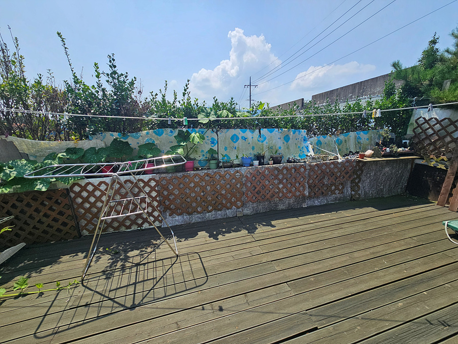 20260804_114329.jpg