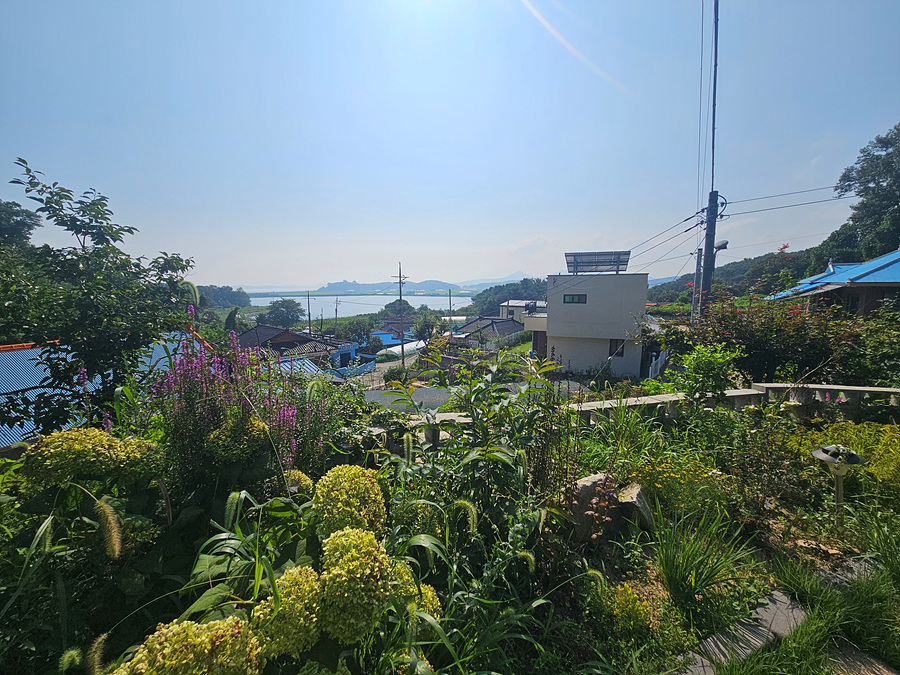 20260805_093931.jpg