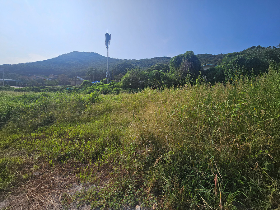 20260827_154116.jpg