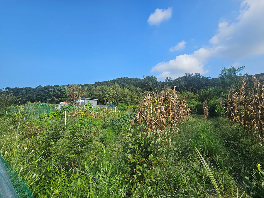 20260827_154815.jpg