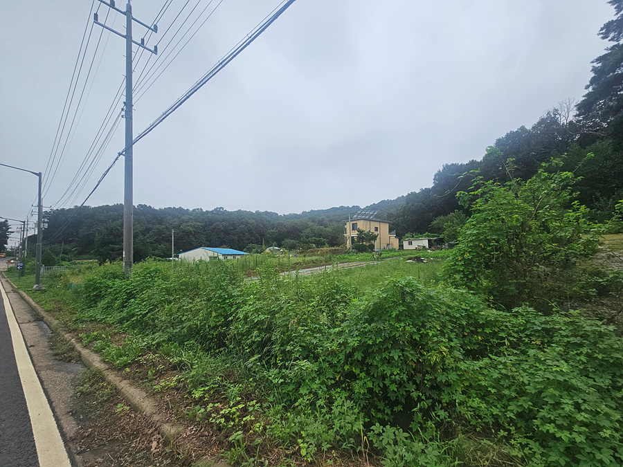20260901_144913.jpg