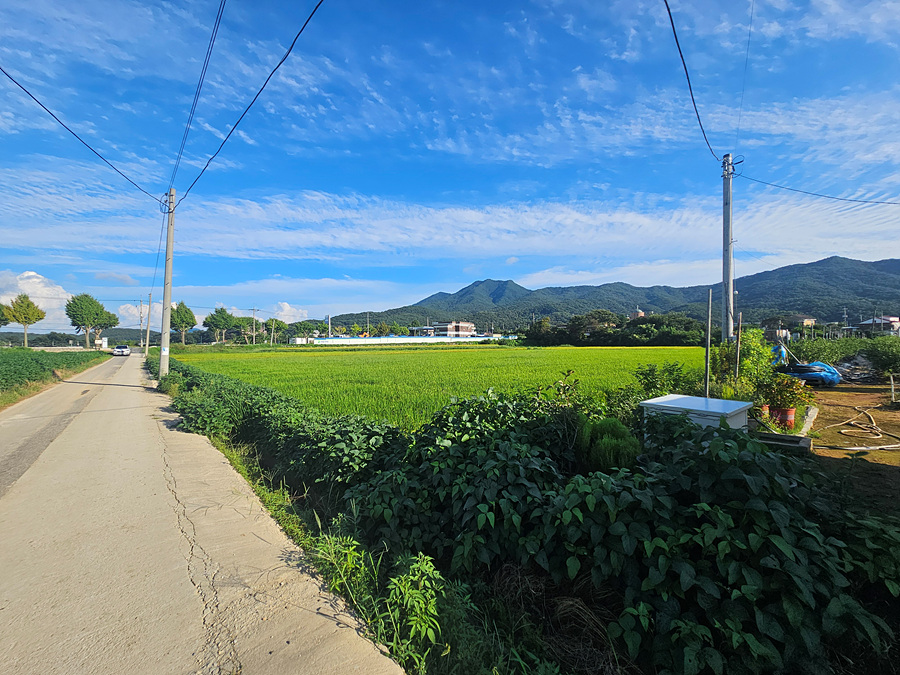 20260902_165753.jpg